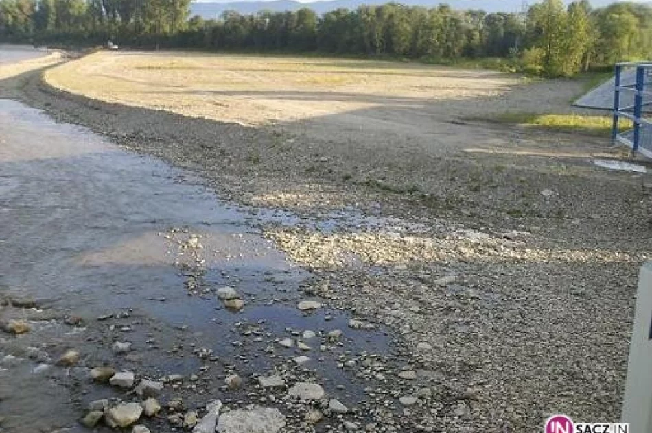 Regulacja brzegu ocali most - zdjęcie 2