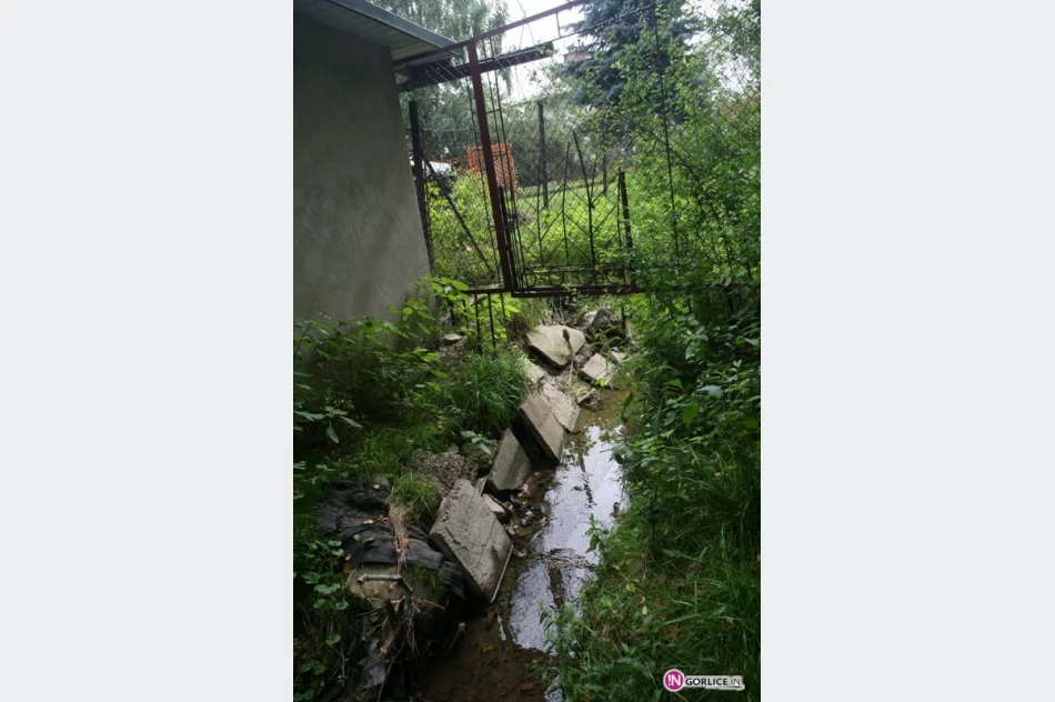 Wizytowali cieki wodne przy Kochanowskiego - zdjęcie 4