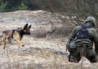 Małopolskie: trzecia grupa psów saperów jedzie na Ukrainę - zdjęcie główne