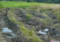 Pola zniszczone przez ciężkie samochody - zdjęcie główne