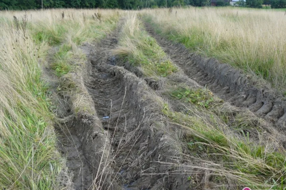 Pola zniszczone przez ciężkie samochody - zdjęcie 2