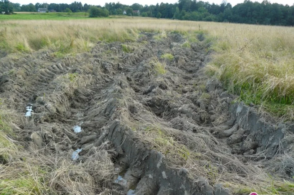 Pola zniszczone przez ciężkie samochody - zdjęcie 3