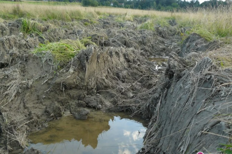 Pola zniszczone przez ciężkie samochody - zdjęcie 4