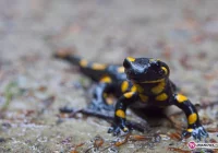 Znana firma odnowi trasy? - zdjęcie główne