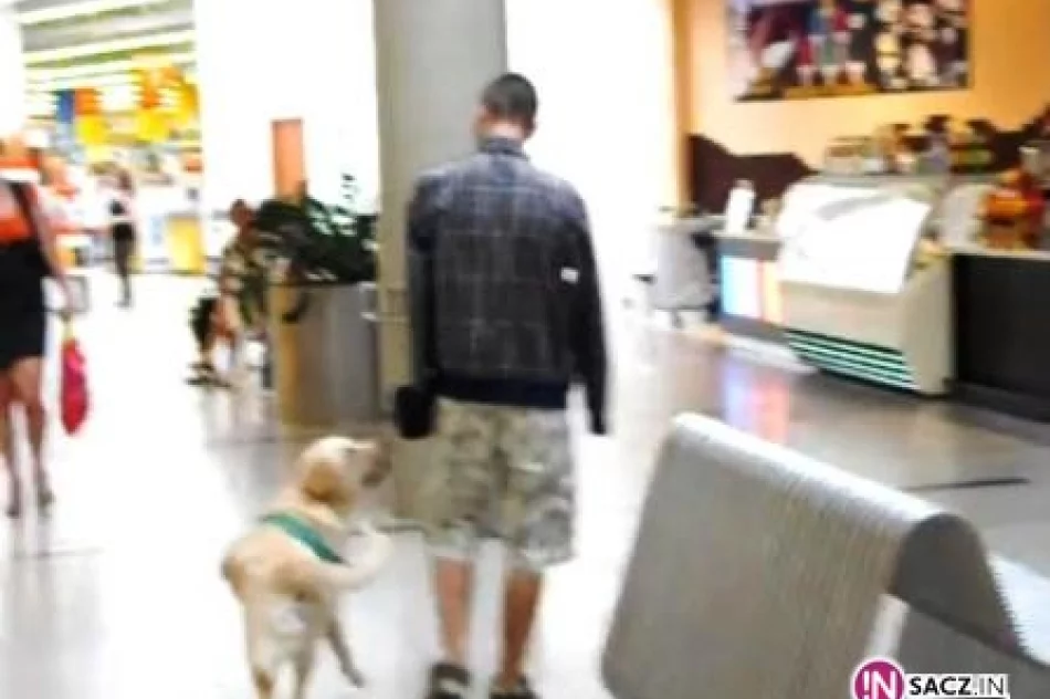 Znieczulica czy bezprawie? - zdjęcie 2