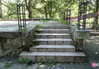 Co dalej z „muszelką”? - zdjęcie główne