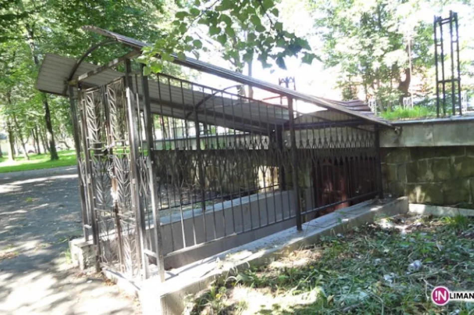 Co dalej z „muszelką”? - zdjęcie 2