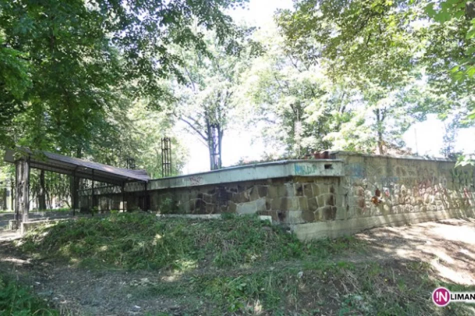 Co dalej z „muszelką”? - zdjęcie 3