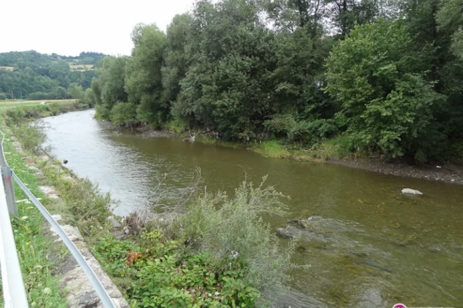Padłe zwierze leży w strefie ochrony - zdjęcie 2