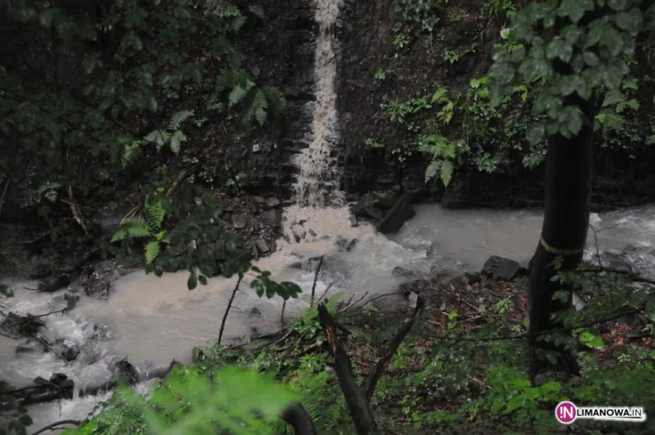 Duży problem z mętnością - zdjęcie 2