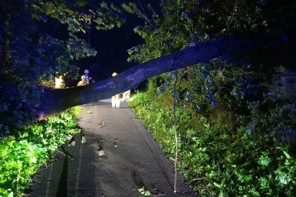 Gwałtowne burze i działania straży. Wiatr zerwał dach domu - zdjęcie 4