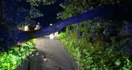 Gwałtowne burze i działania straży. Wiatr zerwał dach domu - zdjęcie 4
