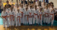 15 medali na Makroregionie Południowym w Bielsku Białej dla zawodników Limanowskiego Klubu Kyokushin Karate - zdjęcie 2