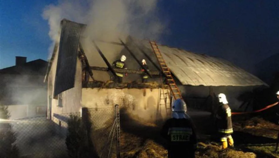 Pożar stodoły i budynku gospodarczego - zdjęcie 1