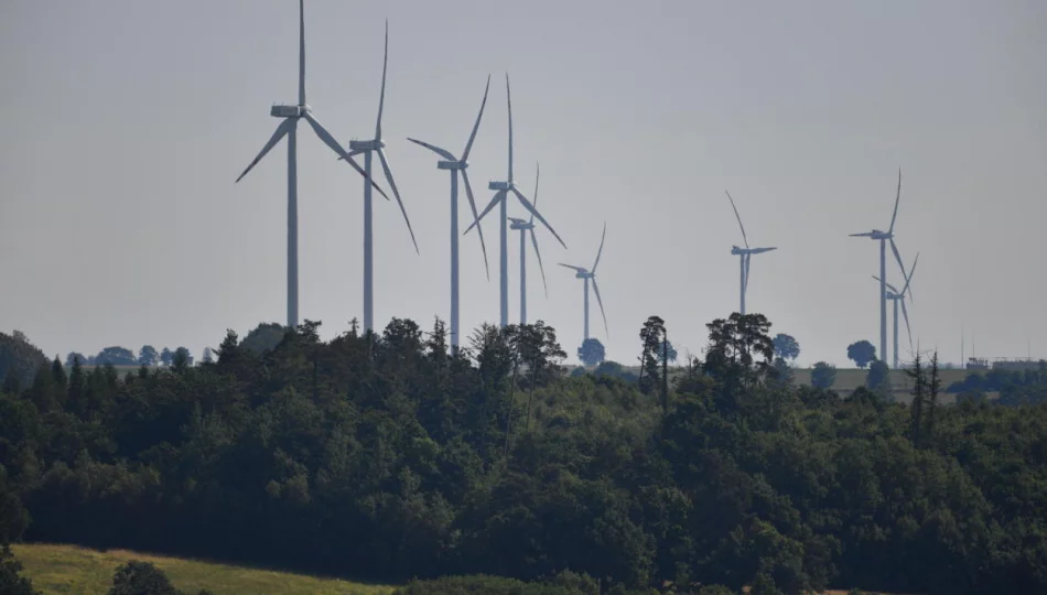 Prezes Tauronu: chcielibyśmy zapewniać 100 proc. czystej energii już w 2040 r. - zdjęcie 1