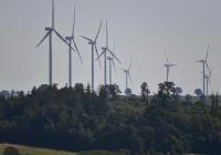 Prezes Tauronu: chcielibyśmy zapewniać 100 proc. czystej energii już w 2040 r. - zdjęcie główne