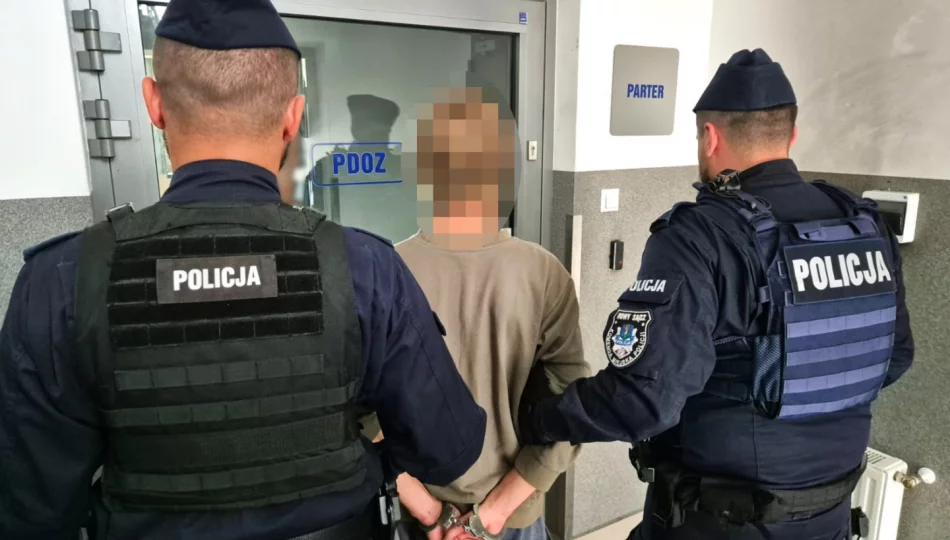 Puścił zabytek z dymem, wpadł przez monitoring. Twierdzi, że "kierował nim impuls" - zdjęcie 1