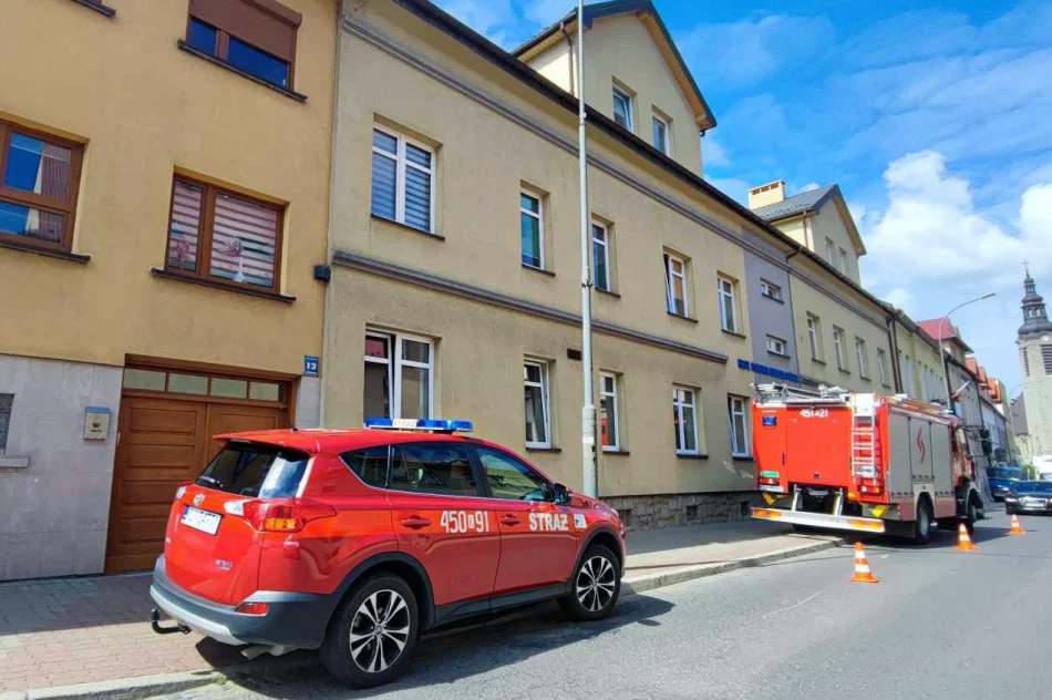 Alarm chemiczny w biurze poselskim - działania służb - zdjęcie 2