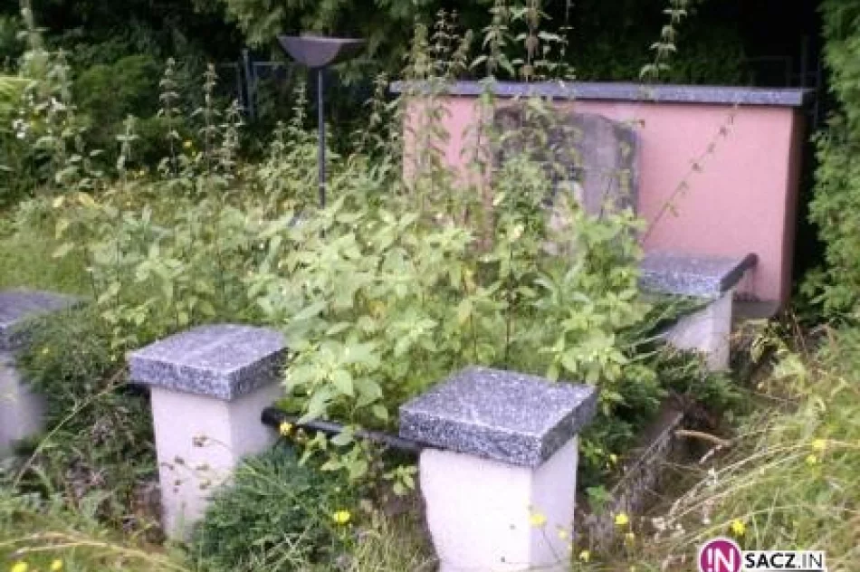 Zapomniane miejsce pamięci - zdjęcie 2