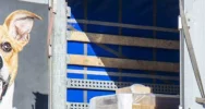 Kolejny transport z pomocą humanitarną dotarł do Truskawca - zdjęcie 2