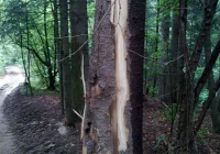 Rekompensata za szkody - zdjęcie główne