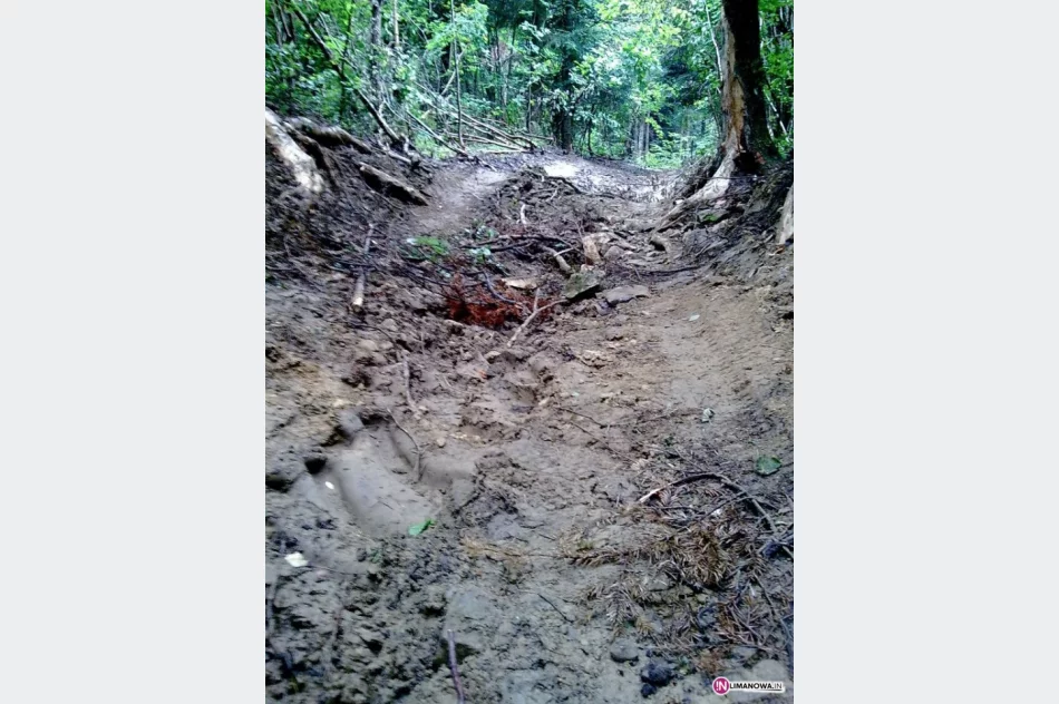 Rekompensata za szkody - zdjęcie 2