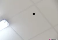 Piłeczki giną w suficie - zdjęcie główne