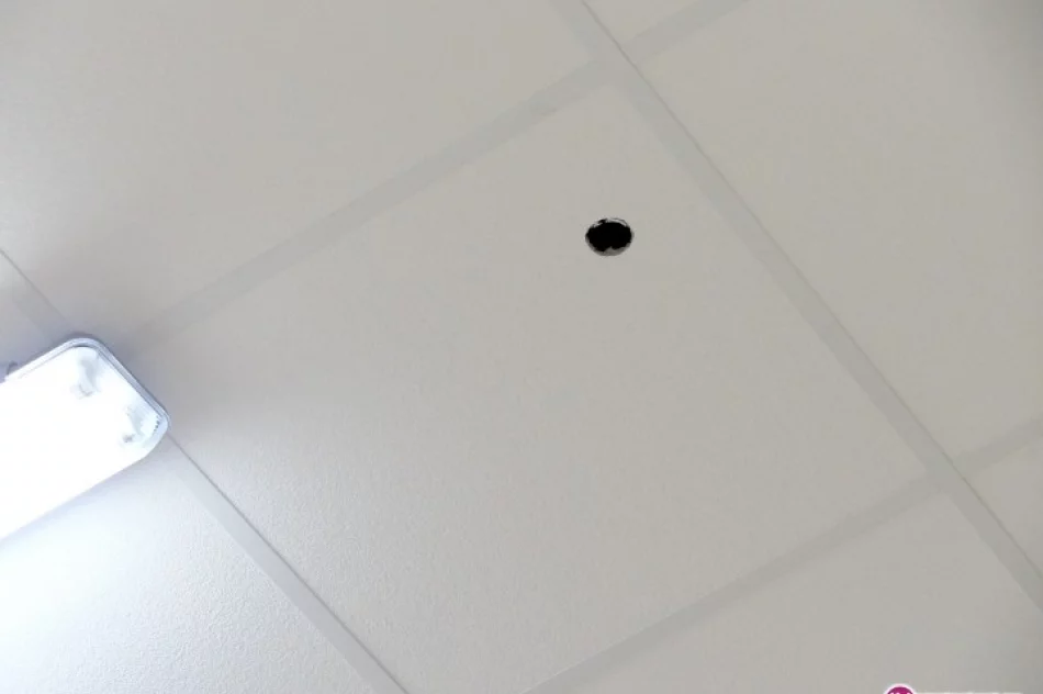 Piłeczki giną w suficie - zdjęcie 3