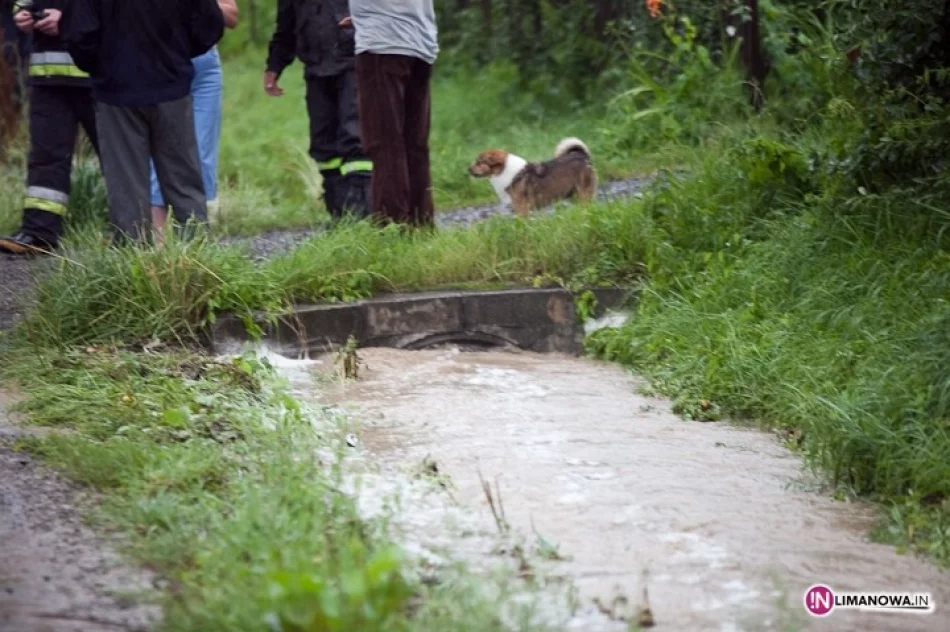 Ulewne deszcze, zatkane przepusty i podtopienia - zdjęcie 2
