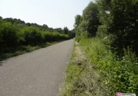 Szukali pieniędzy na koszenie - zdjęcie główne