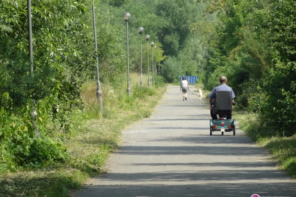 Szukali pieniędzy na koszenie - zdjęcie 2