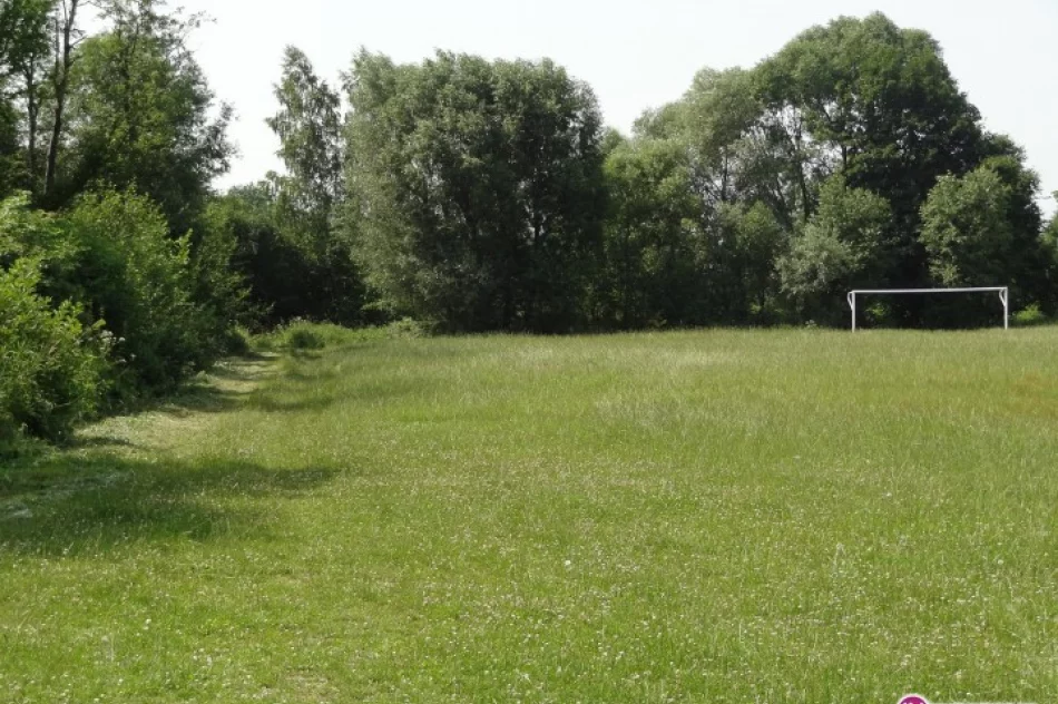 Szukali pieniędzy na koszenie - zdjęcie 3