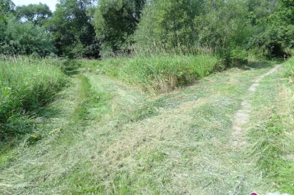 Szukali pieniędzy na koszenie - zdjęcie 4