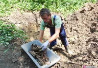 Ekshumowano żołnierzy - zdjęcie główne