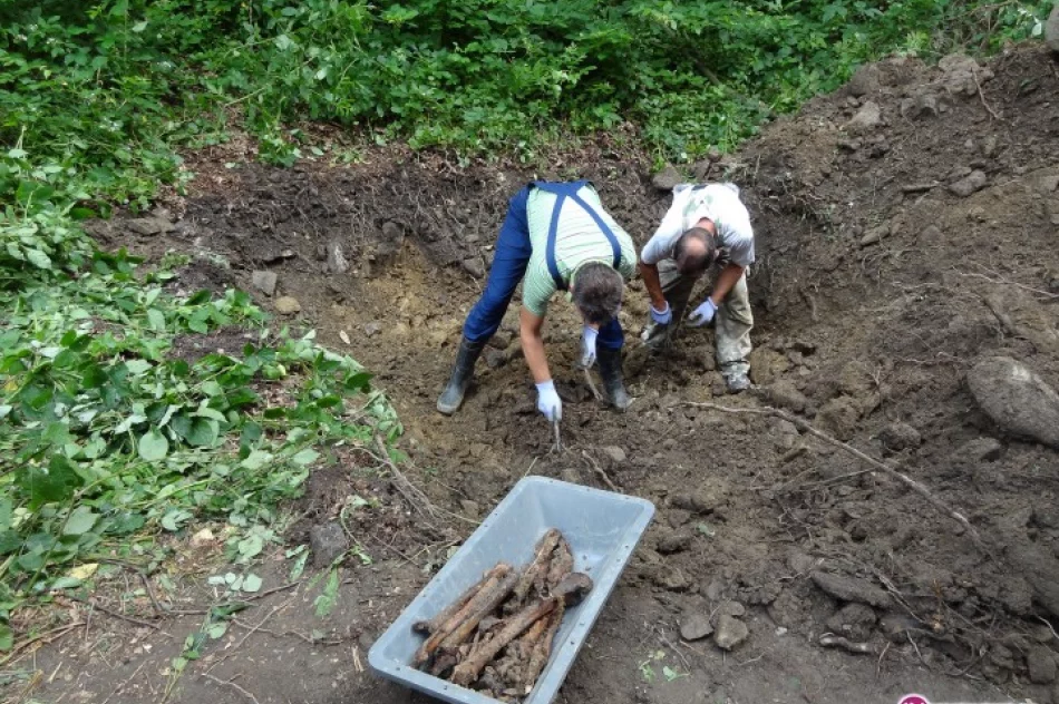 Ekshumowano żołnierzy - zdjęcie 3