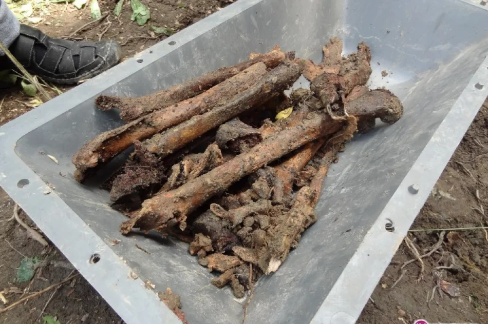 Ekshumowano żołnierzy - zdjęcie 4