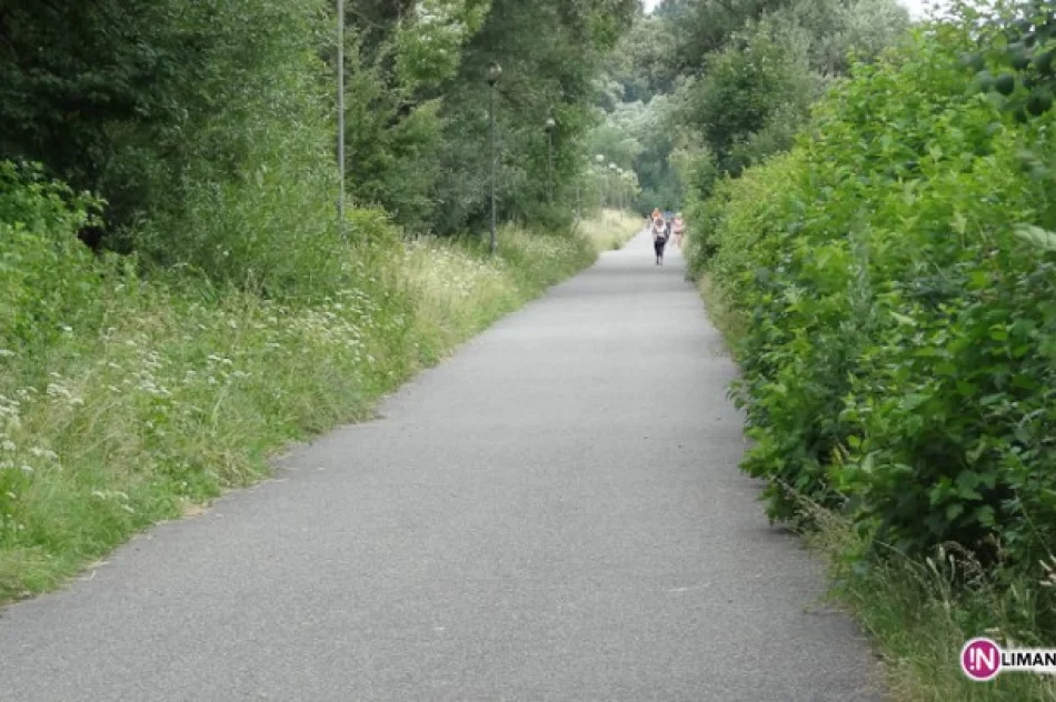 Ścieżka wysokich traw - zdjęcie 2