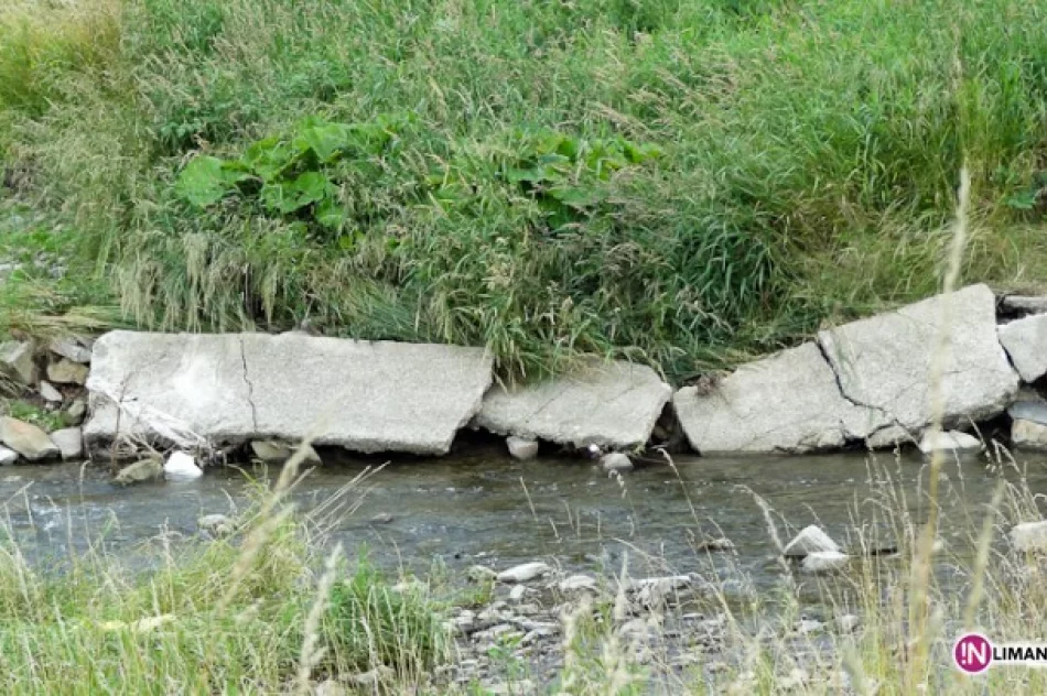 Ścieżka wysokich traw - zdjęcie 3