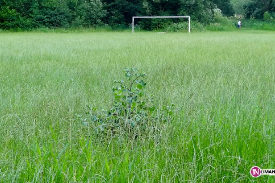 Ścieżka wysokich traw - zdjęcie 4