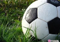 Samorządowcy przeciwko przedsiębiorcom. Przyjadą „Gwiazdy Łodzi”. - zdjęcie główne