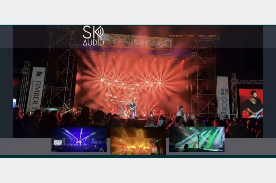 Serwis komputerów. Strony internetowe na platformie wordpress oraz monitoring - zdjęcie 5