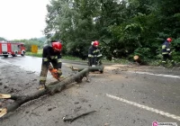 Upadające drzewa zablokowały drogę - zdjęcie główne