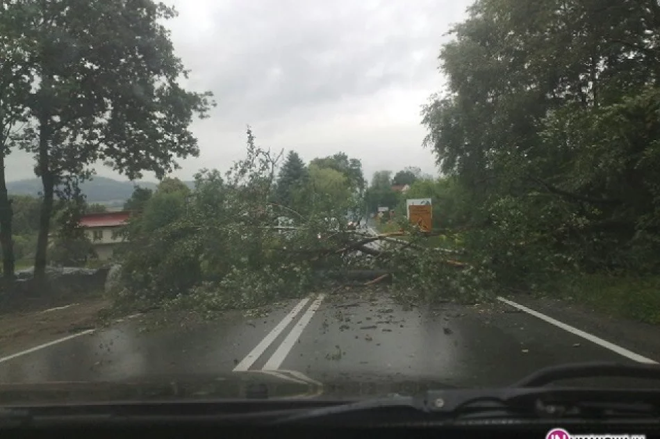 Upadające drzewa zablokowały drogę - zdjęcie 2