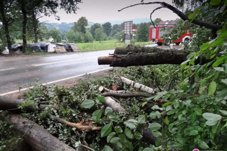 Upadające drzewa zablokowały drogę - zdjęcie 4