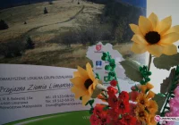 Konkurs 'Kwiaty Lata' - zdjęcie główne