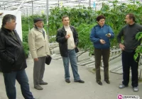 Bezpieczeństwem walczą o ciągnik - zdjęcie główne