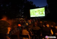 W parku uruchomiono plenerowe kino - zdjęcie główne