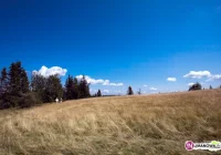 Łopień z nowym szlakiem? - zdjęcie główne