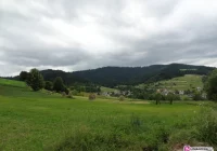 Fałszywie oskarżani przez córkę i koleżanki - zdjęcie główne