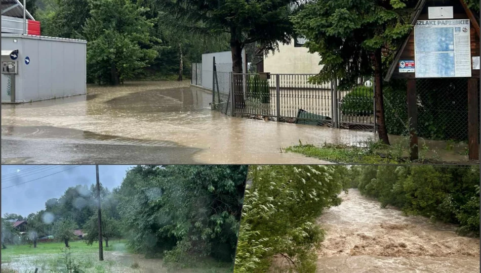 Podtopienia budynków, powalone drzewa - liczne interwencje straży po gwałtownych burzach - zdjęcie 1